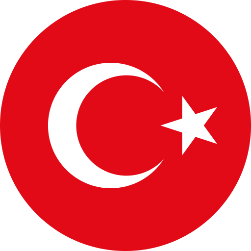 Giriş